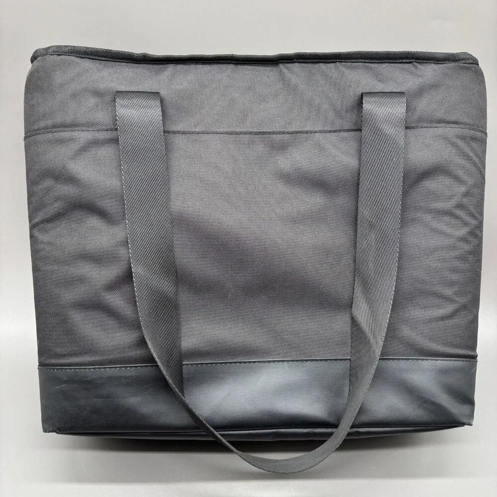 Igloo disney insulated